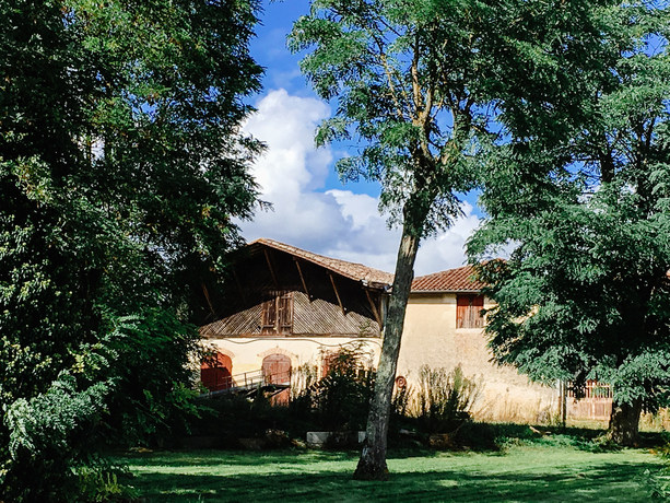 Château Le Bonnat chais et arbres